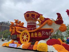 -荷兰花海