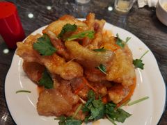 -林口邵胖子大鹅(新安街东五店)