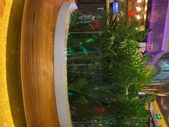-润园四季椰子鸡火锅(海上世界店)