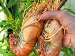 -七的湖·江南蟹舫·阳澄湖农家菜(蟹舫苑店)