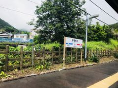 -伊豆观海列车