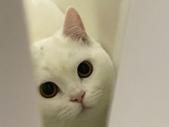 -安安宠医·安宠宠物医院