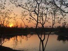 -东郊湿地公园