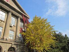 -辽宁大学(崇山校区)