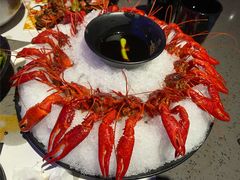 冰镇龙虾-一棠龙虾(徐家汇城开YOYO店)