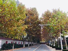 -新四军刘老庄连纪念园游客中心