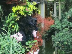 -广州兰圃