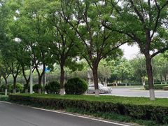 -小寒羊烧烤(凯瑞时代大厦店)