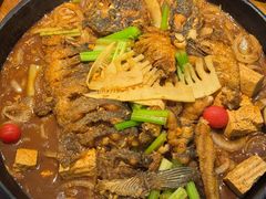 -老板恋上鱼(印象城店)