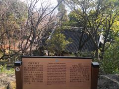 -香雪海