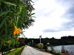 -南国桃园旅游度假区