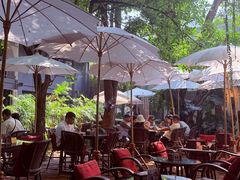 -Fern Forest Cafe