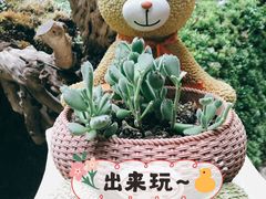 -花之城