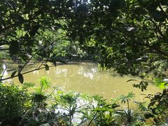 -人民公园(罗湖区)