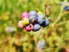 -艾溪湖湿地公园