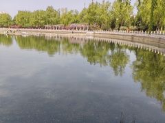 -莲花池公园