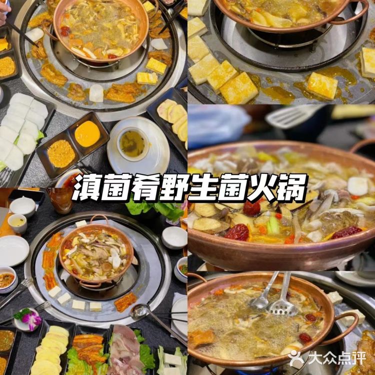 为了这口野生菌火锅还要再来云南10086次