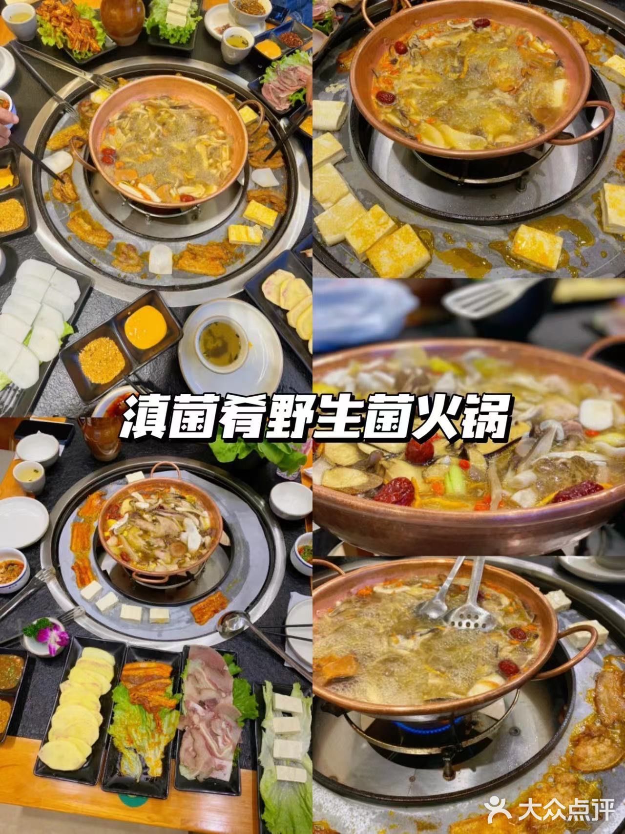 为了这口野生菌火锅还要再来云南10086次