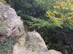 -树山生态村