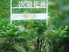 -云溪植物园