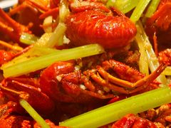 -红盔甲·小龙虾(人民广场店)