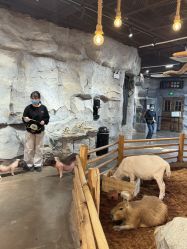 -Zoolung Zoolung动物主题公园(海信广场店)