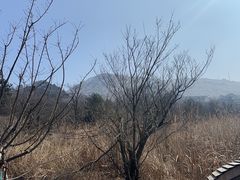 -浙西天池景区