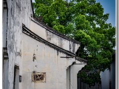 -鲁镇