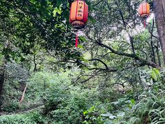 -广州市白云山风景名胜区