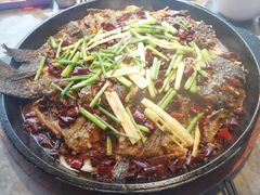 -老板恋上鱼(恒隆广场店)