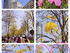 -洲头咀公园