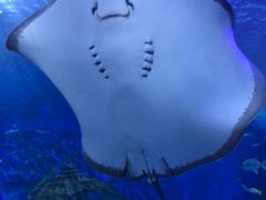 -多彩贵州城极地海洋世界