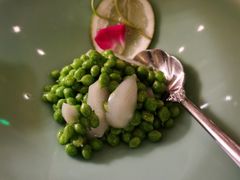 -西郊5号·Maggie 5