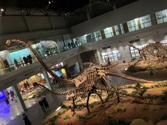 -自贡恐龙博物馆