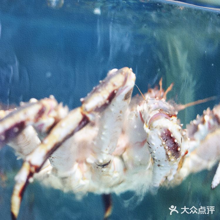 打卡海棠湾海鲜餐厅：小海豚