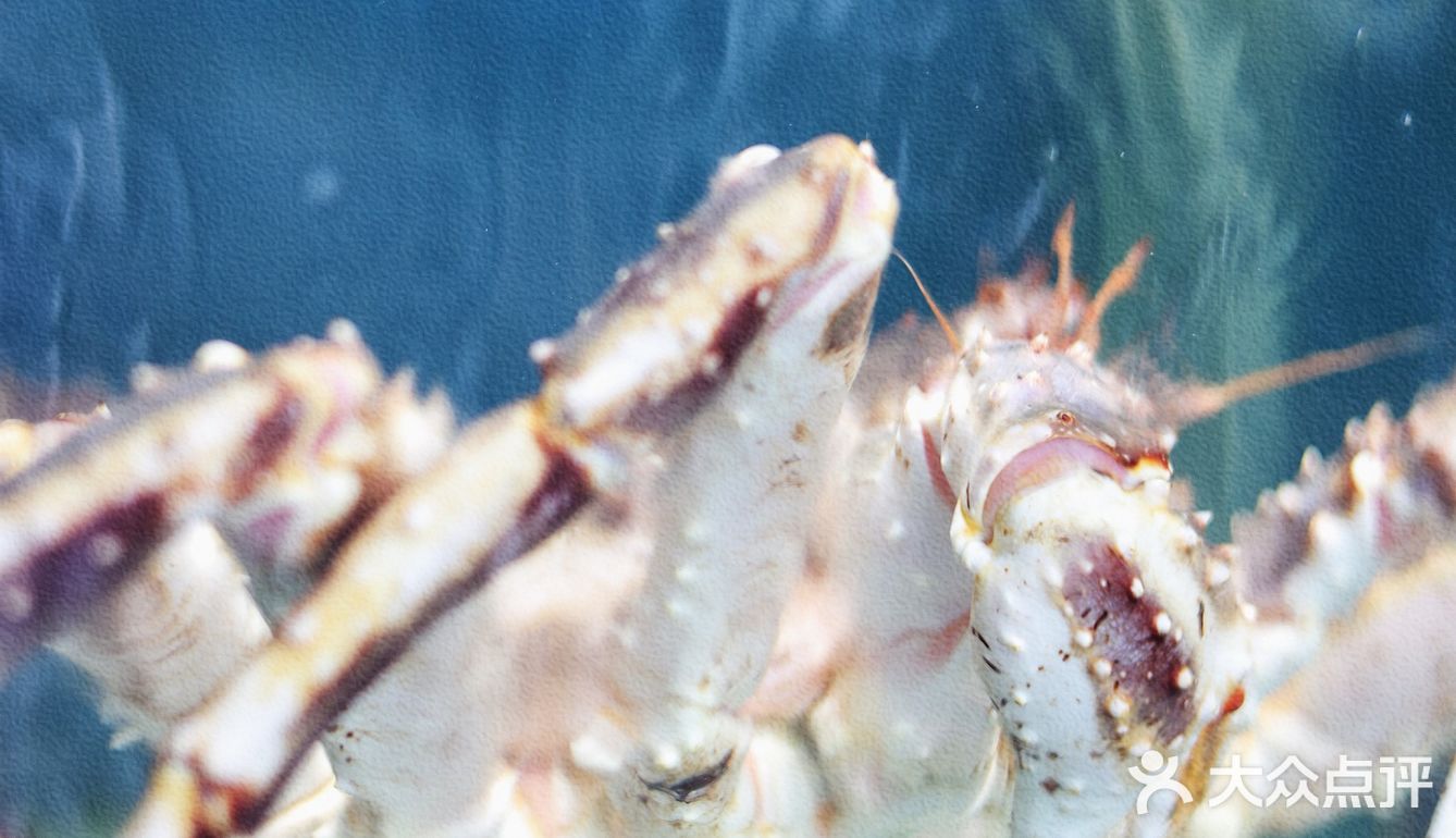 打卡海棠湾海鲜餐厅：小海豚