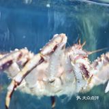 打卡海棠湾海鲜餐厅：小海豚