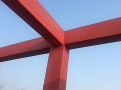 -芒洲湿地公园