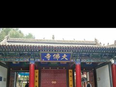 -张掖大佛寺景区
