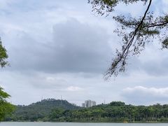 -番禺大夫山森林公园