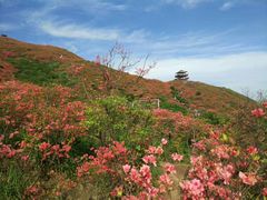 -大围山国家森林公园
