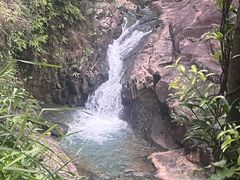 -广州白江湖森林公园