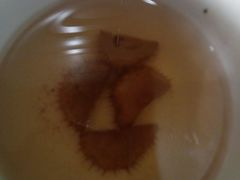 android_upload_pic-黔蘑菇四季餐厅(观山湖店)