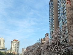 -红星桥(地铁站)