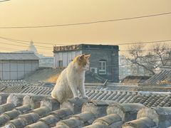 -前叁門