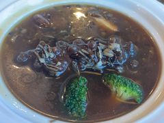 炖海参-素行天下(国投财富广场店)