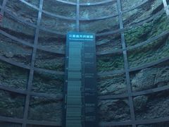 -中国西峡恐龙遗迹园