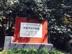 -龟山风景区-龟山电视塔