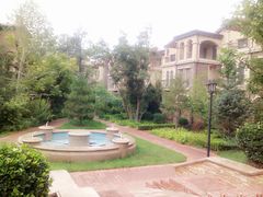 -天鹅湖生态旅游风景区