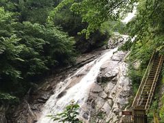 -青峰峡国家森林公园